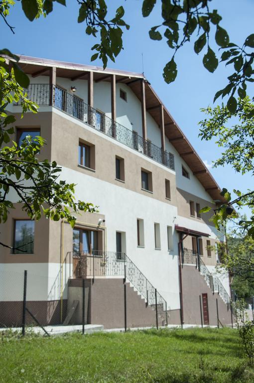 Pensiunea Muntele Guest house Slanic