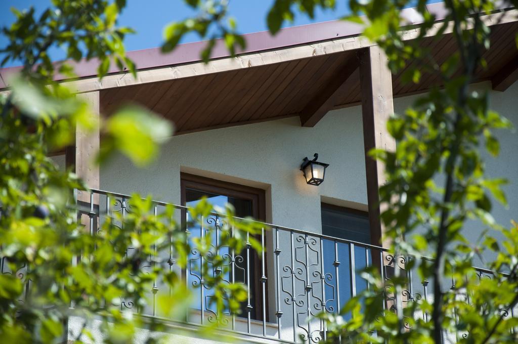 Pensiunea Muntele Guest house
