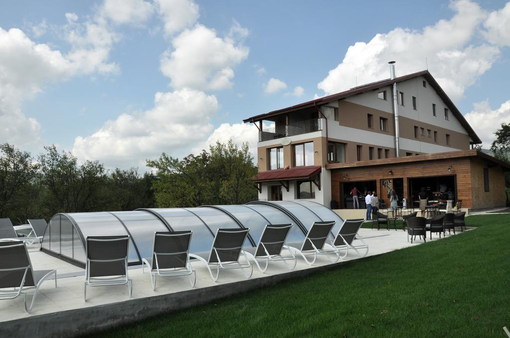 Guest house Pensiunea Muntele 4*